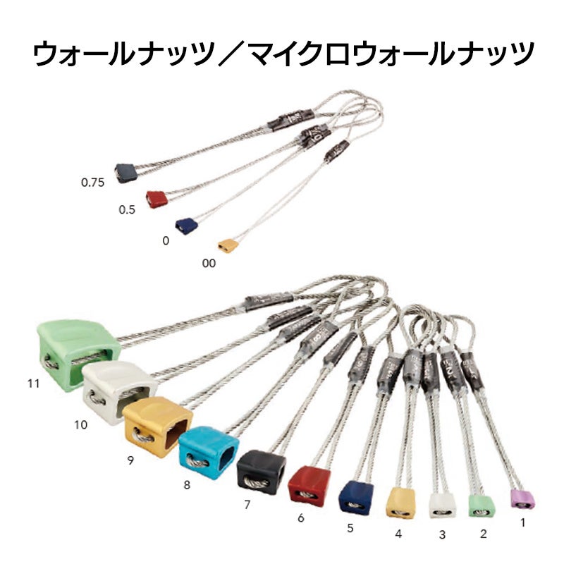 ウォールナッツ／マイクロウォールナッツ【No.00】