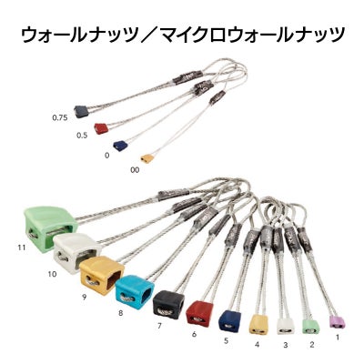 ウォールナッツ／マイクロウォールナッツ【No.4】