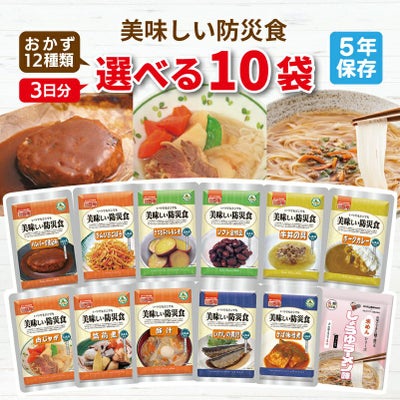 美味しい防災食 3日分 選べる 10袋 非常食セット