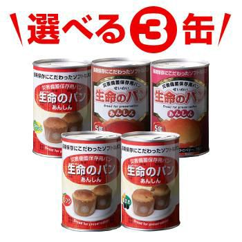 レギュラーガソリン缶詰セット（1L×4缶） [6205] | 防災用品・防災