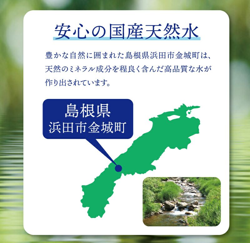 純天然アルカリ保存水 7年保存 2L 6本